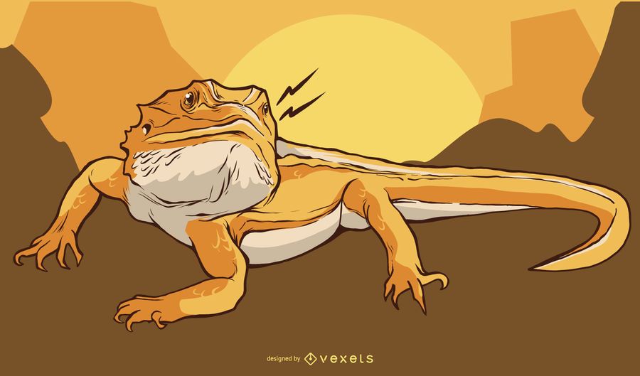 Iguana Illustration Design Iguana Illustration Design