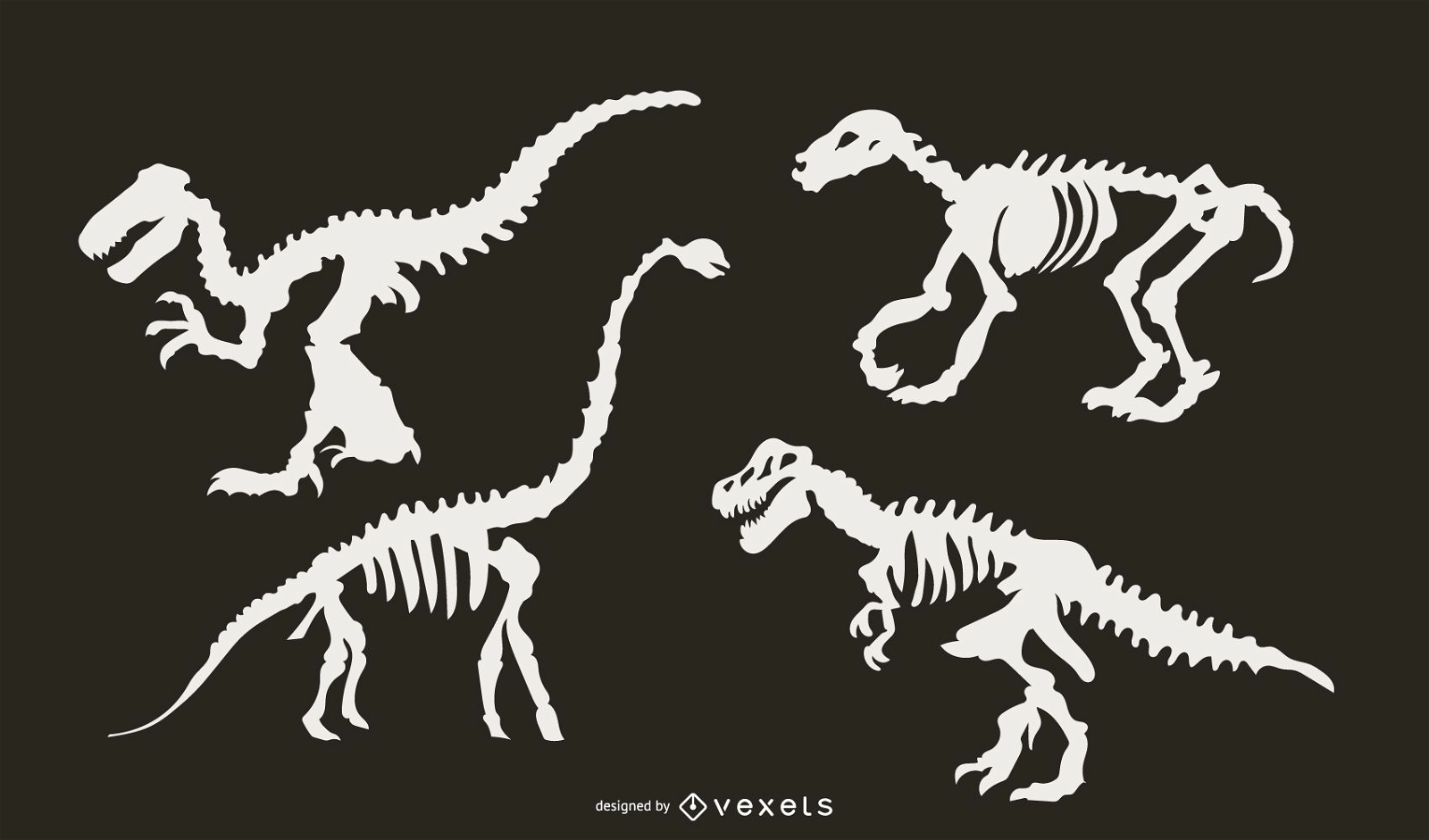Conjunto de silhueta de esqueleto de dinossauro