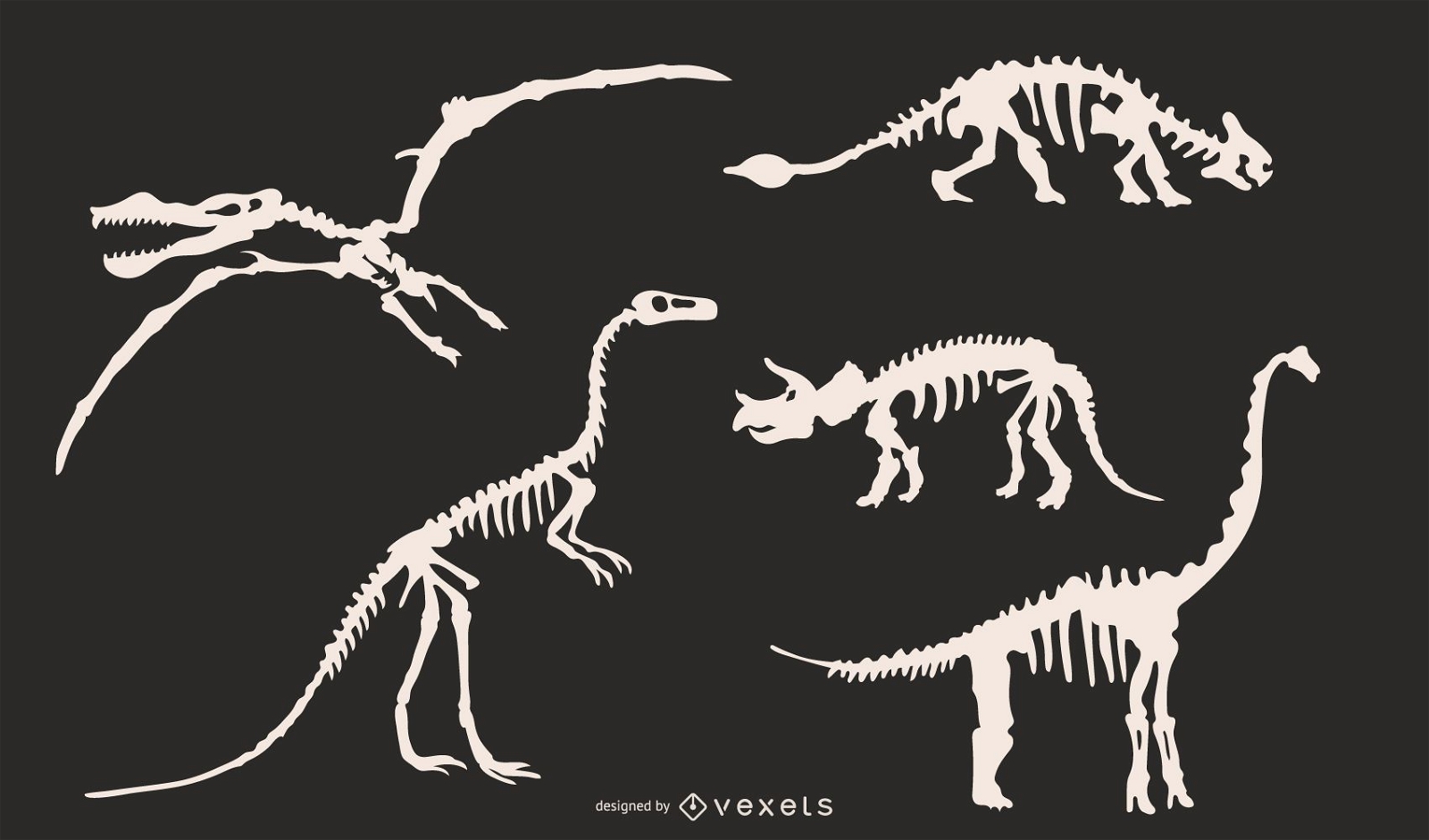 Conjunto de silhuetas de esqueleto de dinossauro
