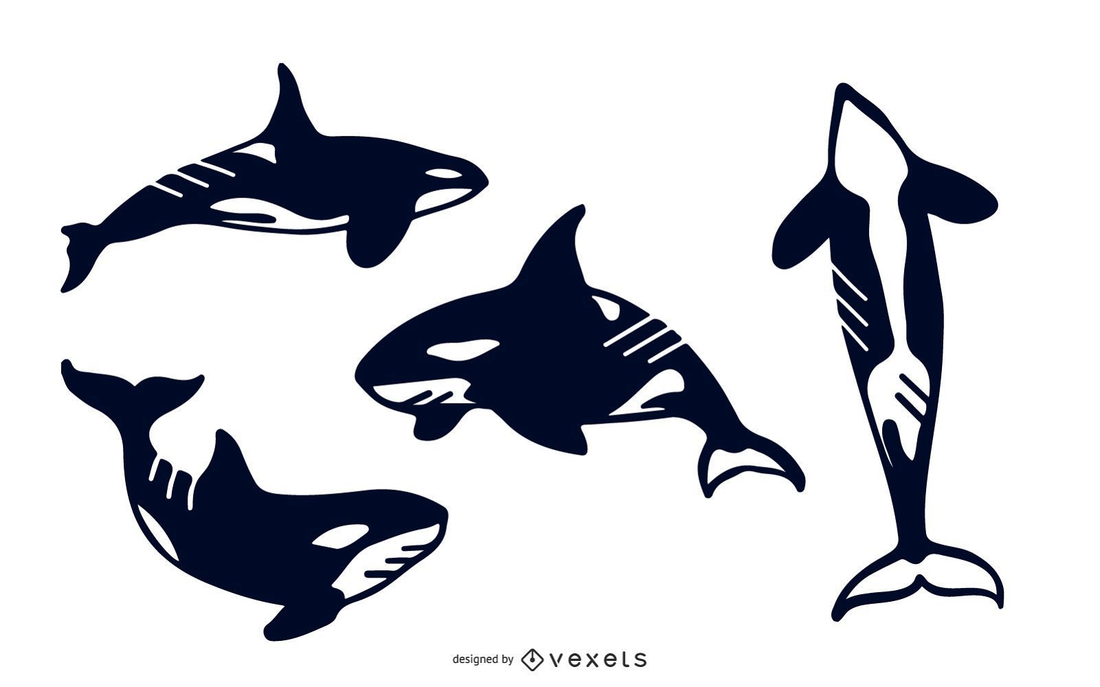 Killer whale silhouette set