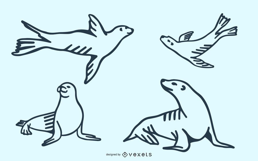 Sea Lion Doodle Set Sea Lion Doodle Set