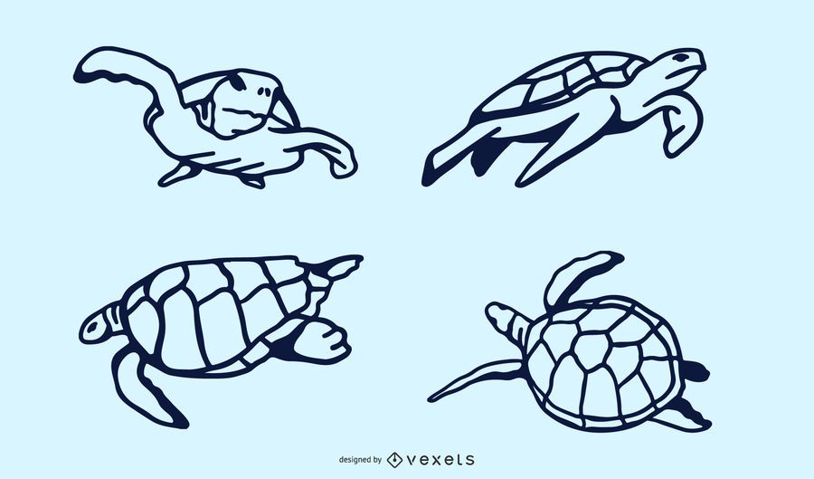 Diseño de Doodle de tortuga marina Diseño de Doodle de tortuga marina