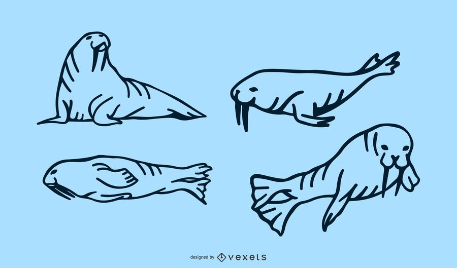 Walrus Doodle Set Walrus Doodle Set