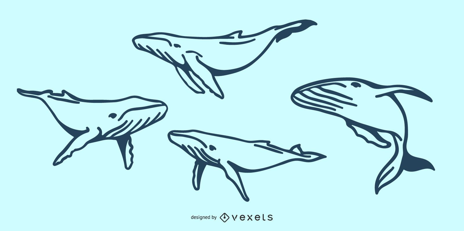 Ilustração do Doodle da baleia