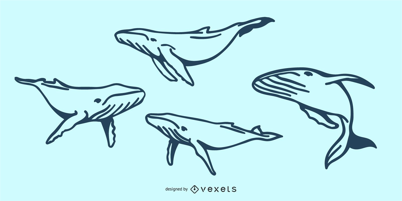 Whale Doodle Illustration
