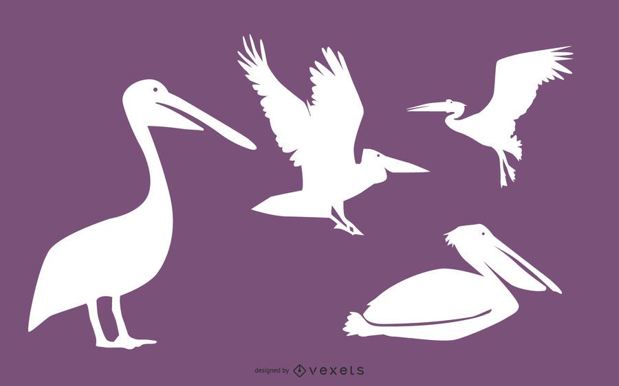 Pelican bird silhouette pack Pelican bird silhouette pack