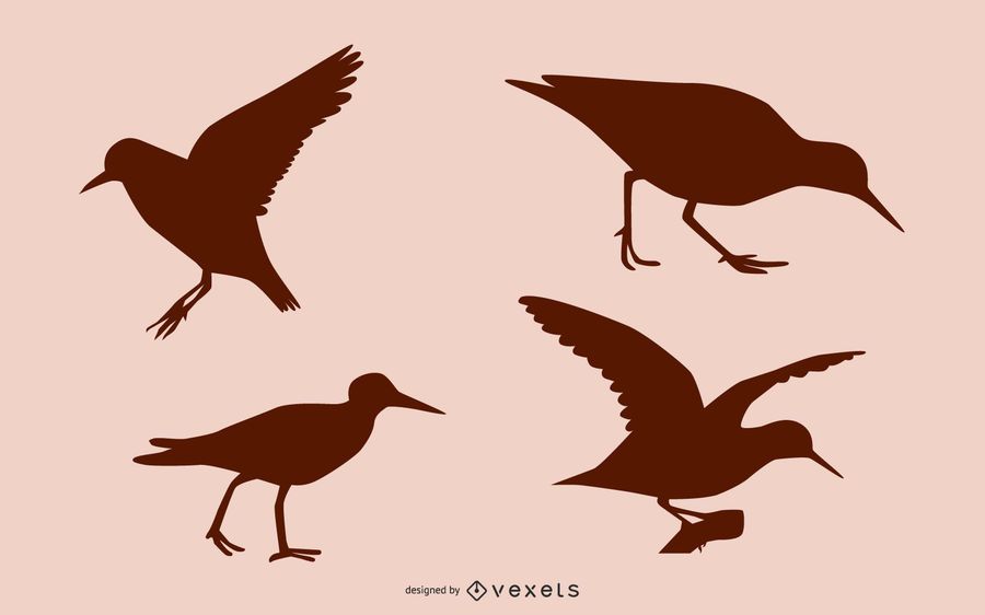 Sandpiper bird silhouette set Sandpiper bird silhouette set