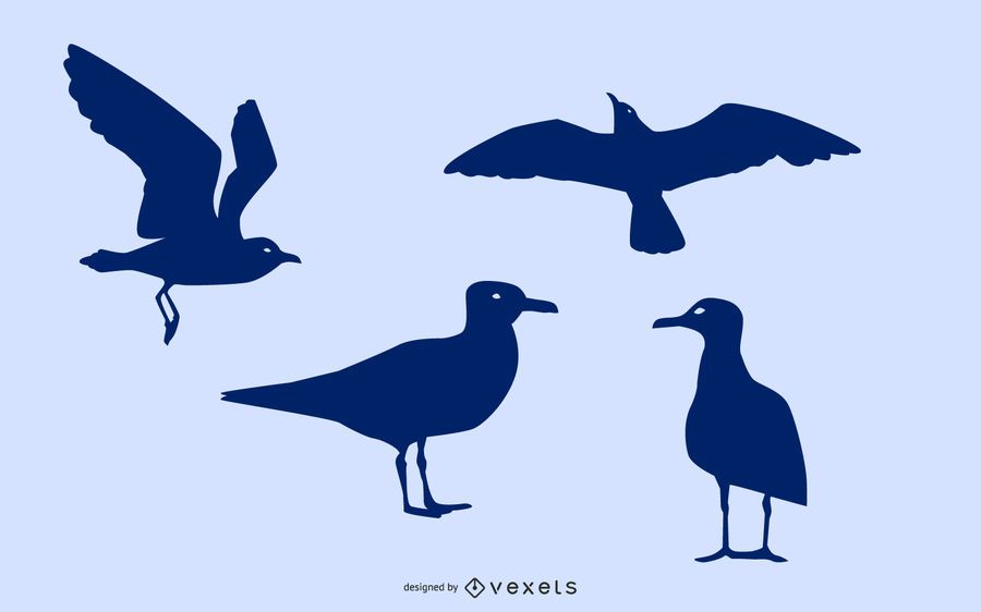 Seagull silhouette set Seagull silhouette set