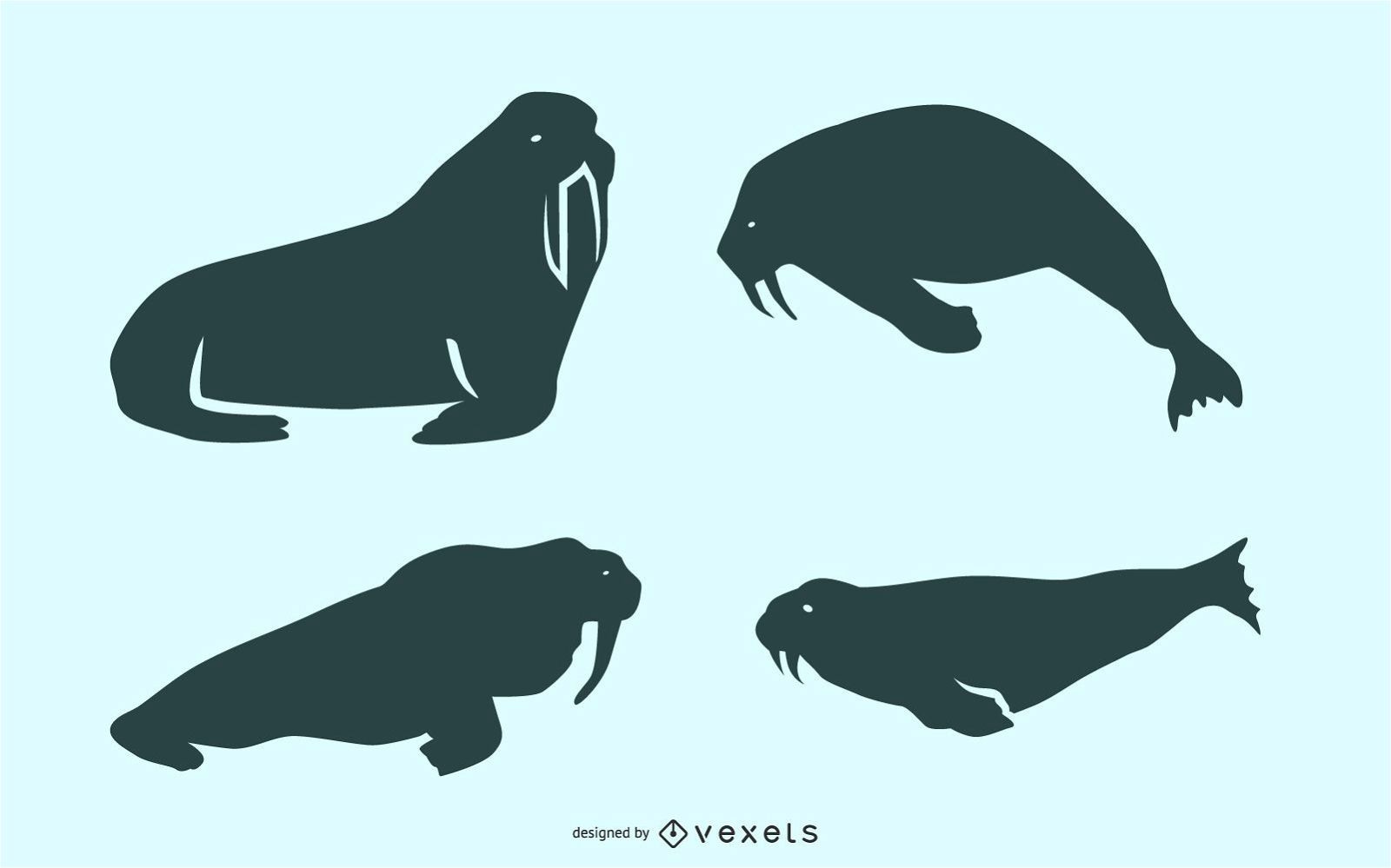 Walrus silhouette set