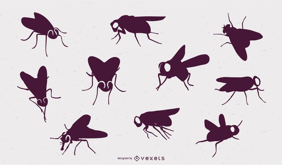  Fly Insect Silhouettes - Vector Download