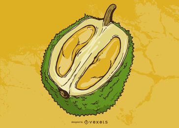 Ilustração de fruta Durian Ilustração de fruta Durian