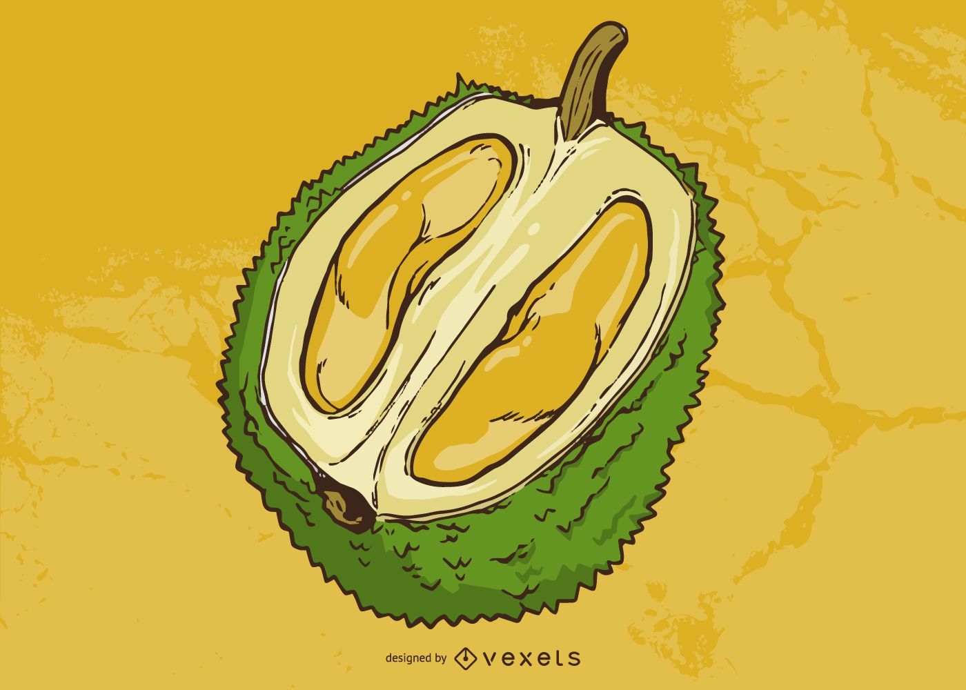 Durian fruit illustration