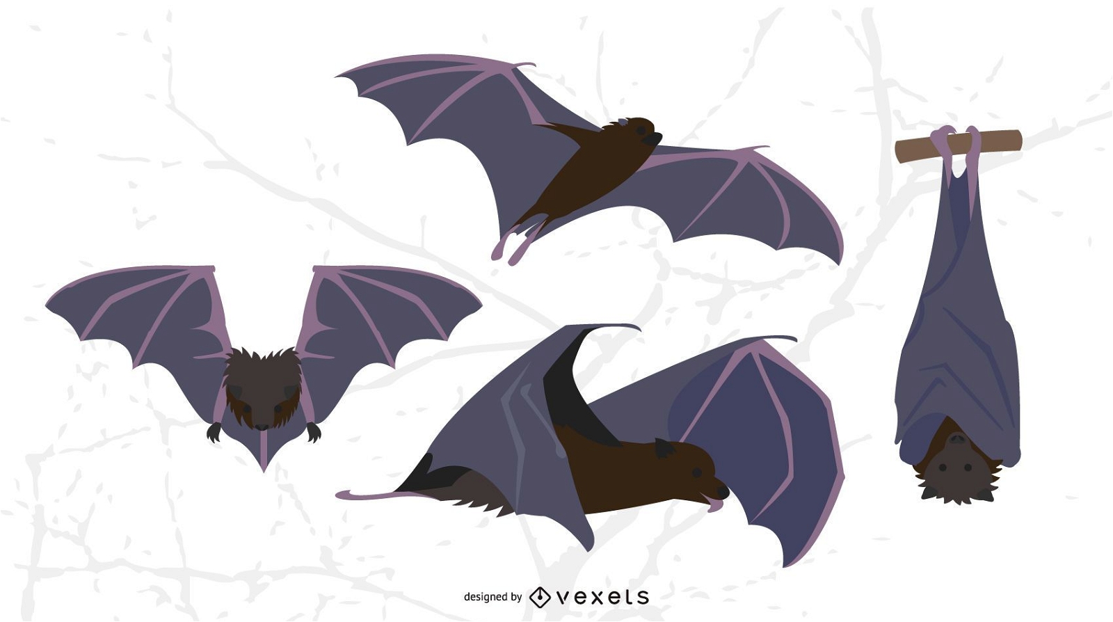 Bat Illustration Set