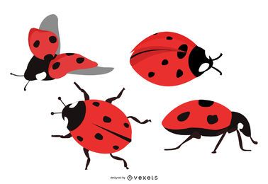 Nettes Marienkäfer-Illustrationsset