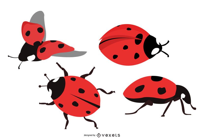 Cute Lady Bug Illustration Set Cute Lady Bug Illustration Set