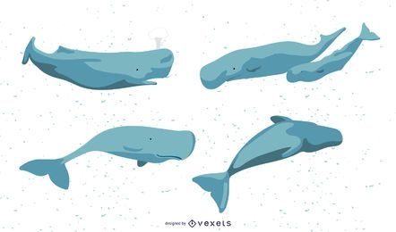 Whales Illustration Set
