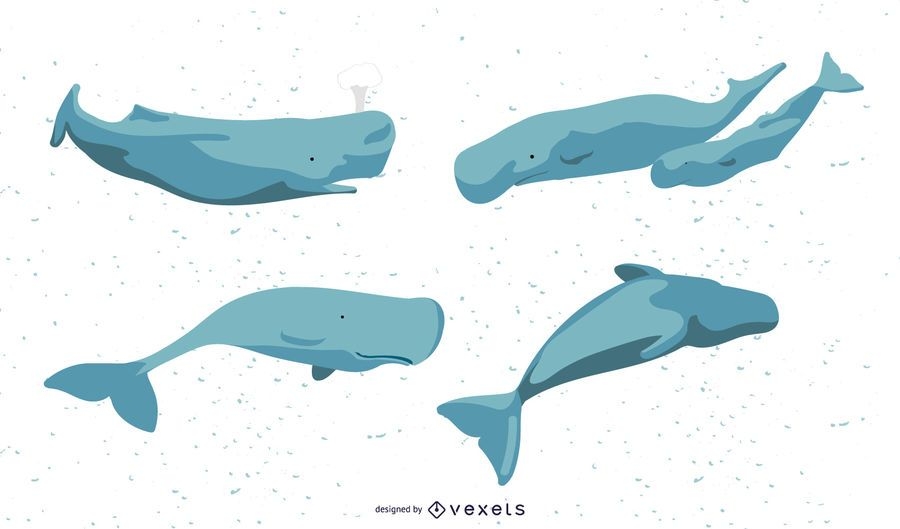 Whales Illustration Set Vector Download