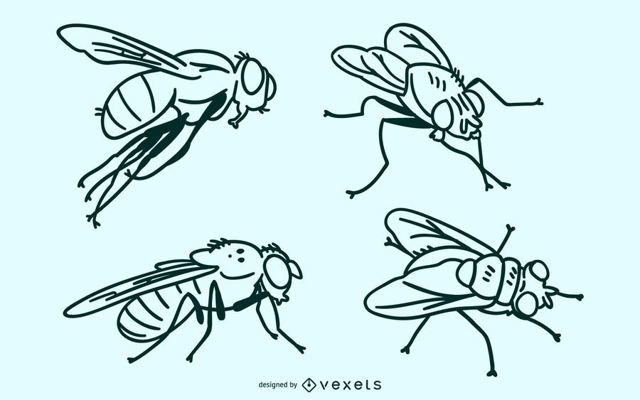 Fly stroke vector set Fly stroke vector set