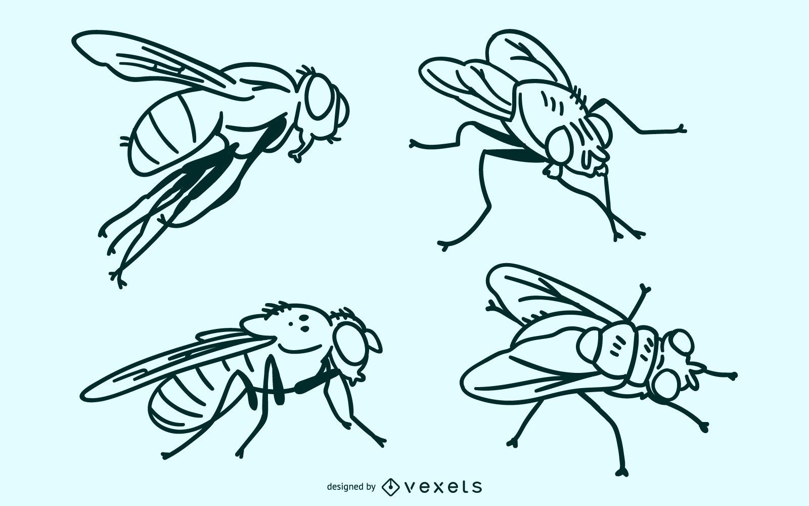 Conjunto de vectores de trazo de mosca