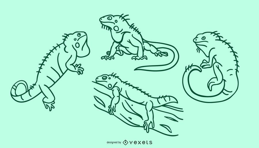 Iguana doodle set Iguana doodle set