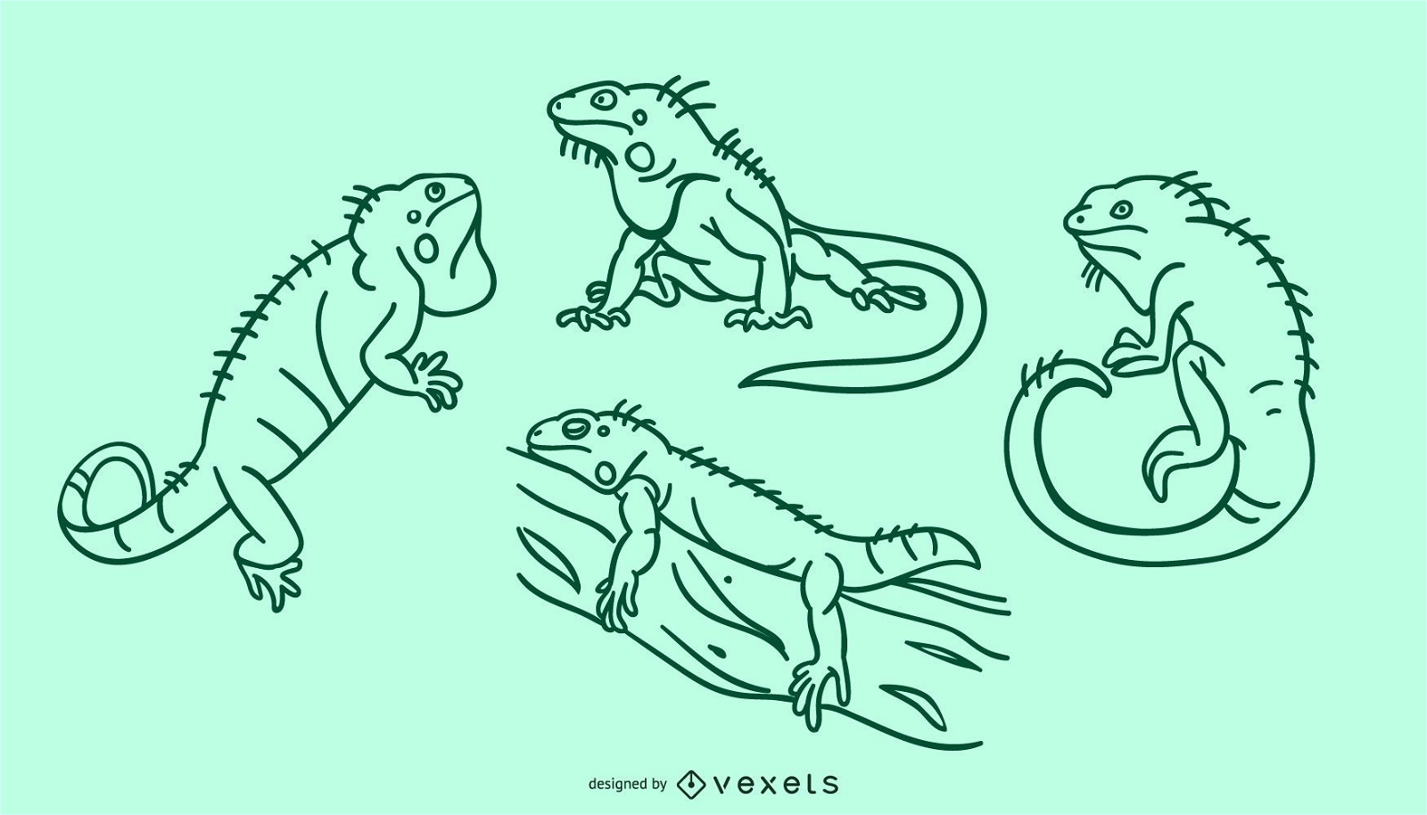Conjunto de doodle de iguana