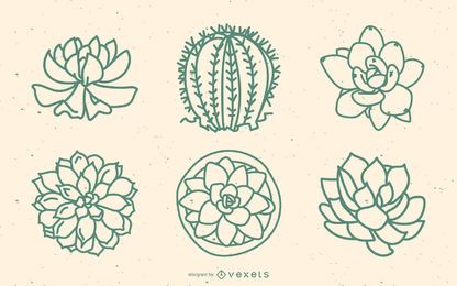 Succulents outline set Succulents outline set