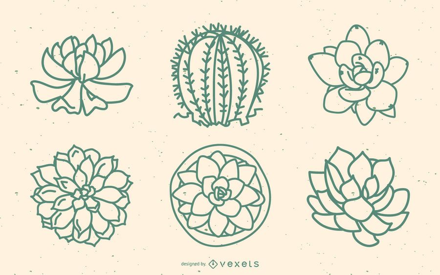 Succulents outline set Succulents outline set