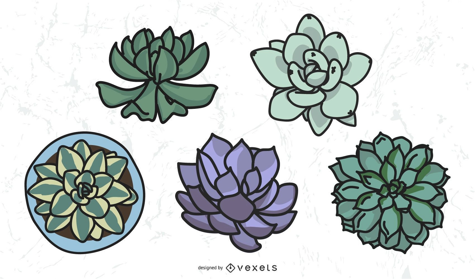 Colored cacti set