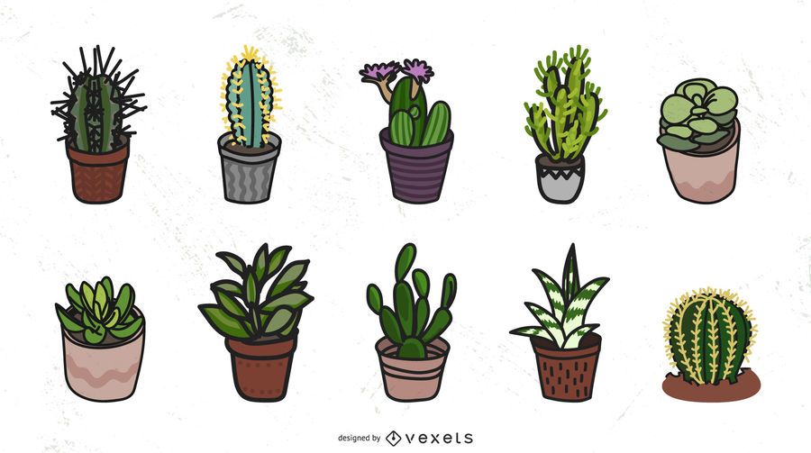 Colección de vectores de cactus Colección de vectores de cactus
