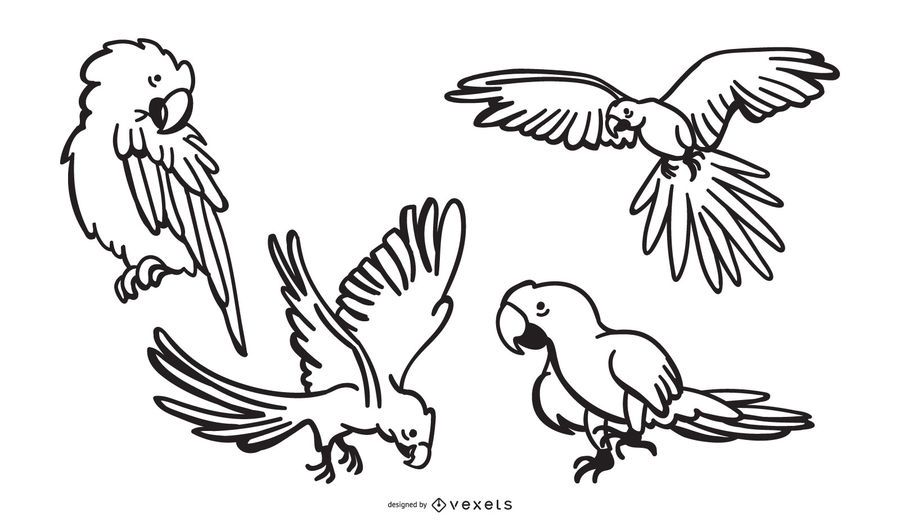 Parrot stroke designs Parrot stroke designs