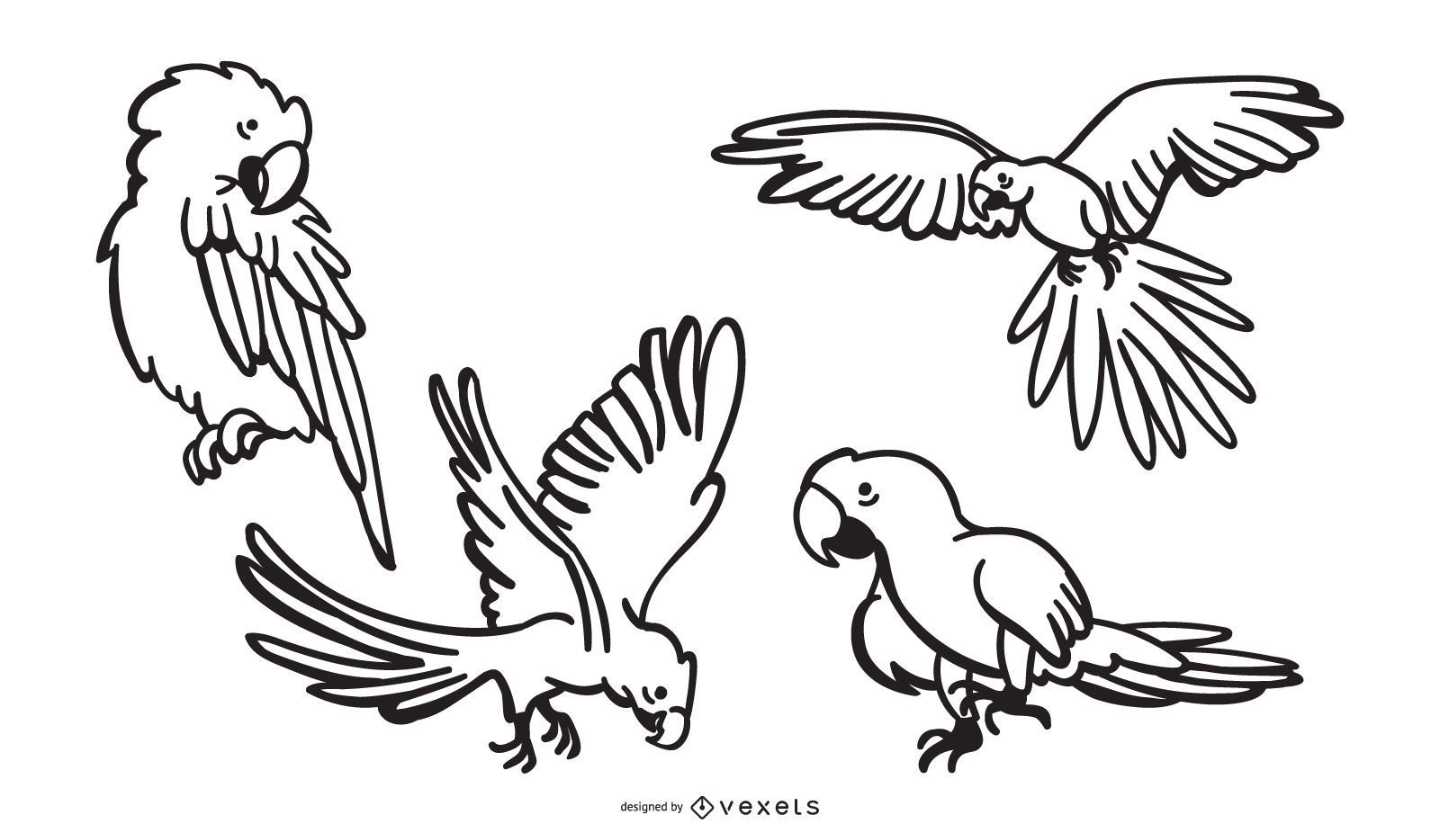 Parrot stroke designs