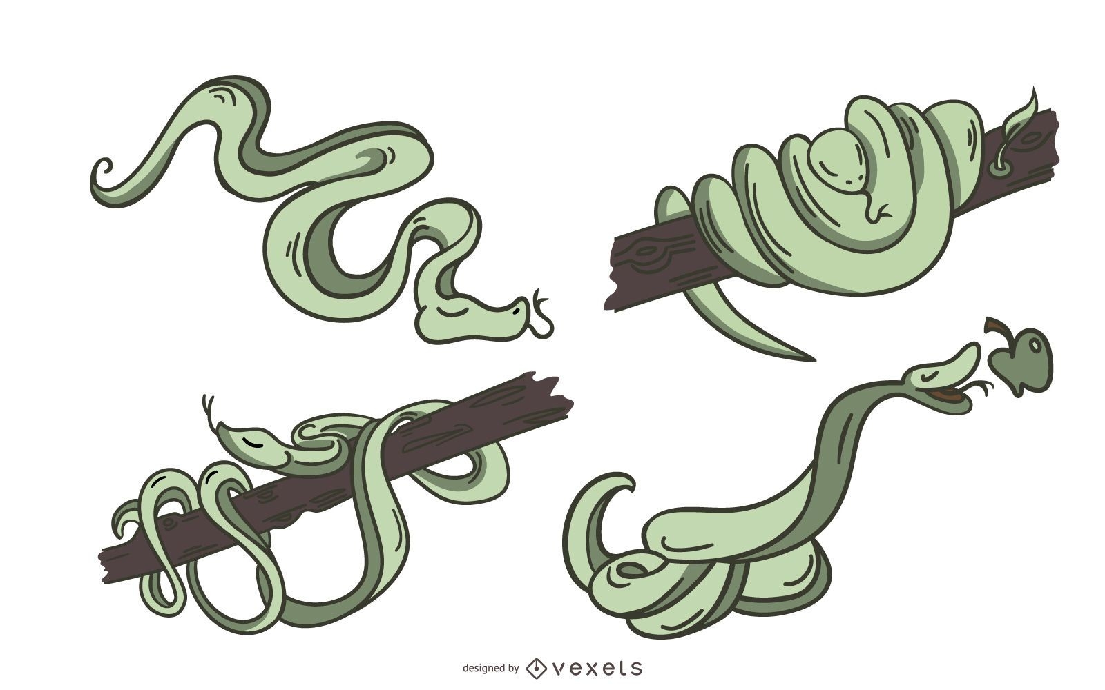 Elegante conjunto de serpientes verdes de colores