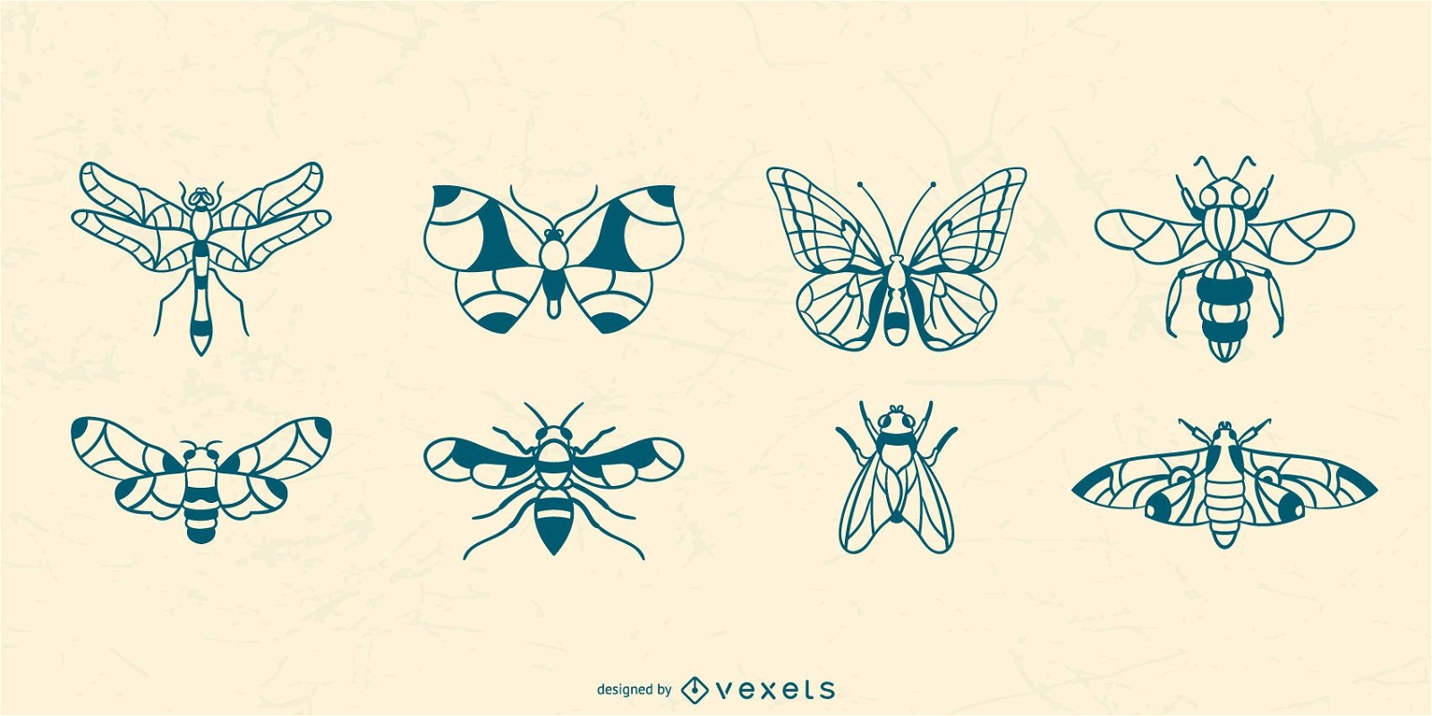 Colección de insectos alados dibujados a mano