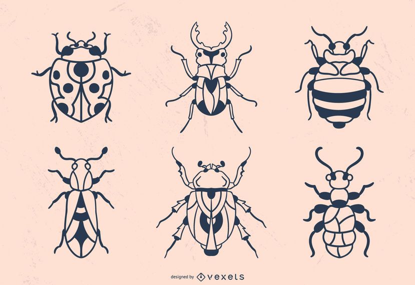 Hand Drawn Beetle Stroke Hand Drawn Beetle Stroke
