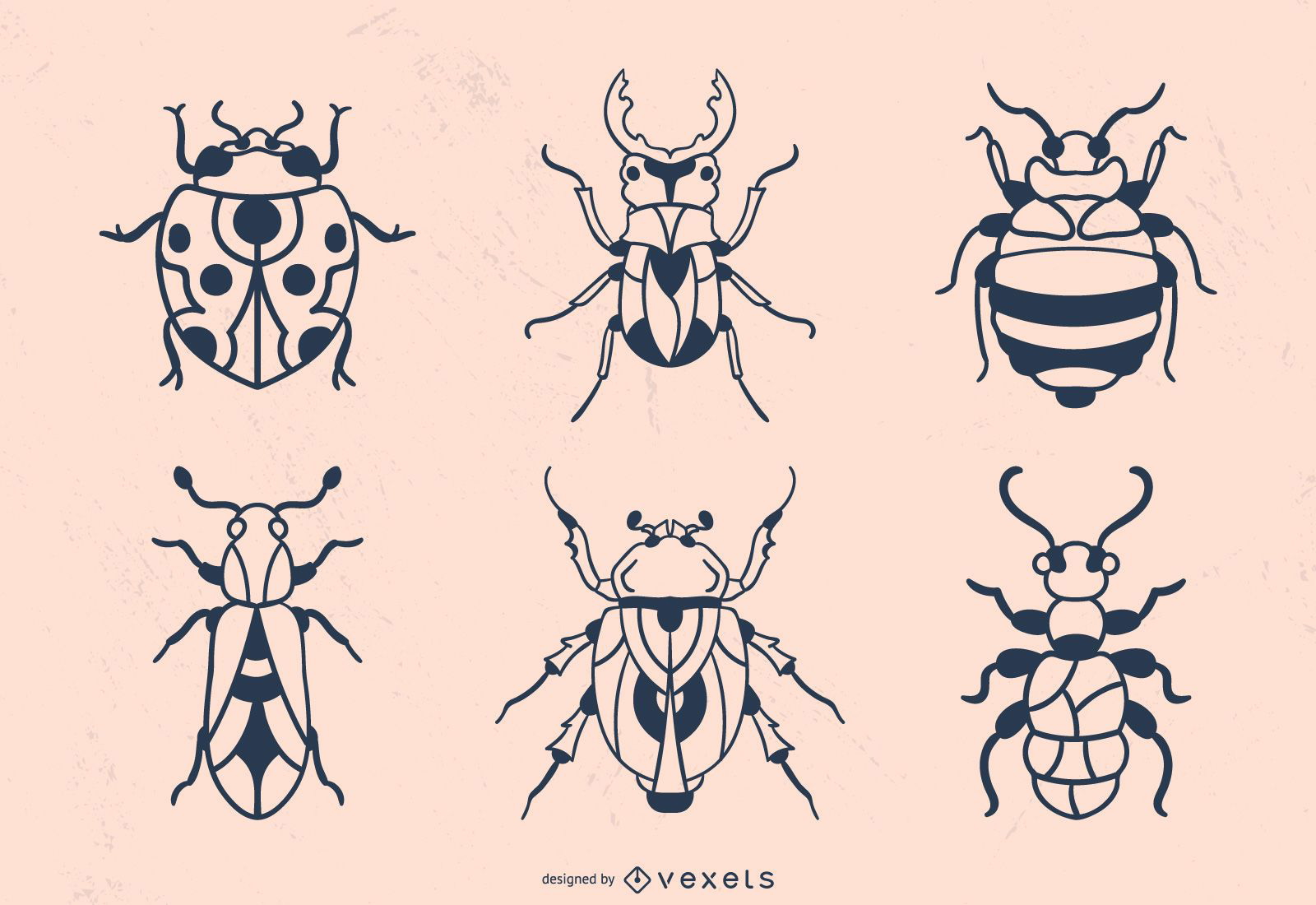 Hand Drawn Beetle Stroke