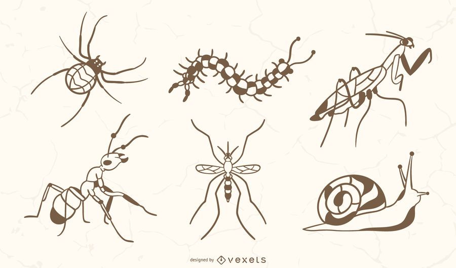 Hand Drawn Insects Set Hand Drawn Insects Set