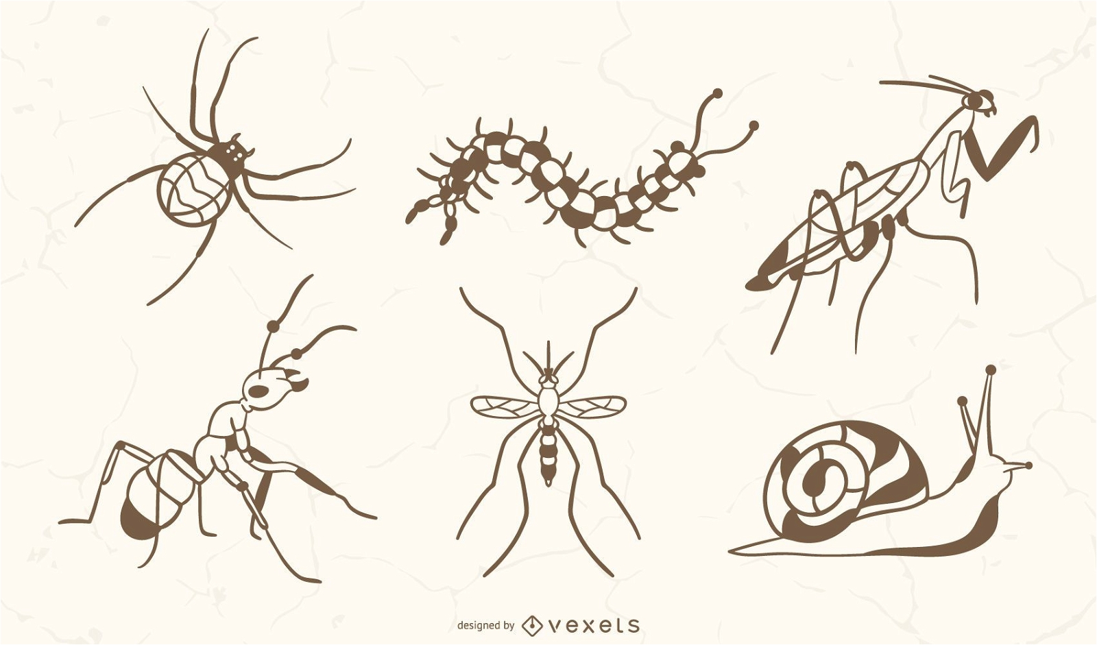 Conjunto de insectos dibujados a mano