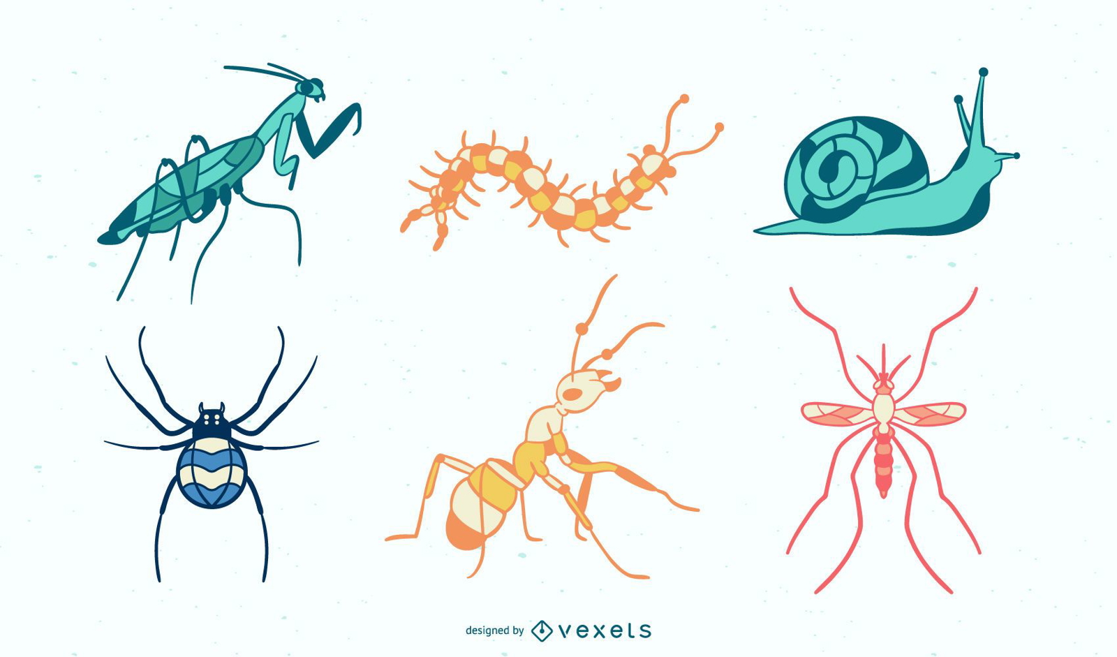 Insectos coloridos dibujados a mano