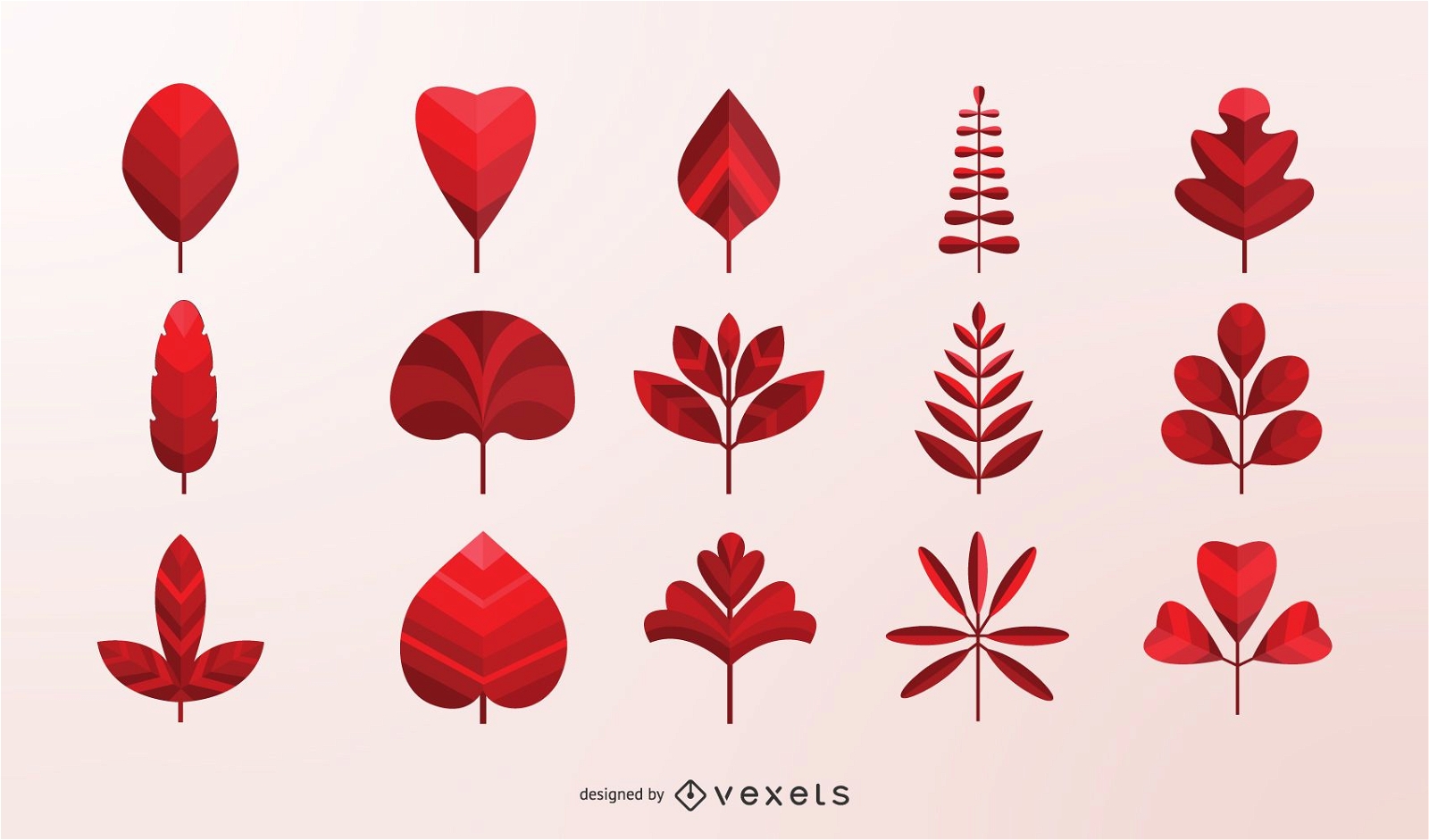 Autumn Leaves Vector Collection