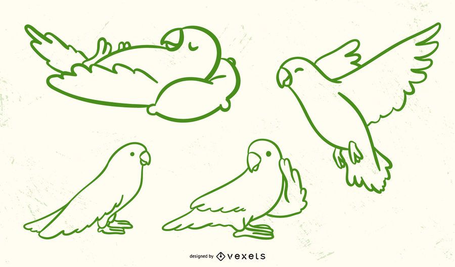 Cute Parrot Stroke Vector Set Cute Parrot Stroke Vector Set