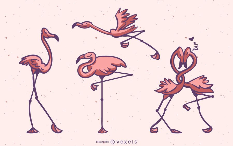 Vetor colorido elegante Flamingo Vetor colorido elegante Flamingo