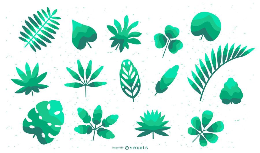 Tropical leaves flat set Tropical leaves flat set