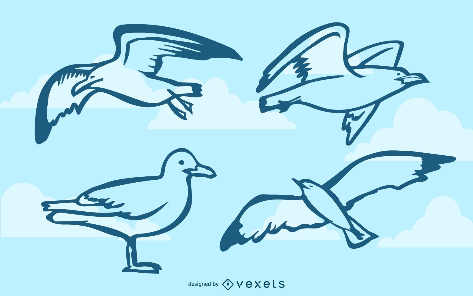 Conjunto de doodle de gaivotas