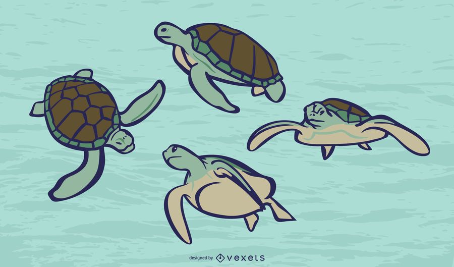 Sea turtle color vector set Sea turtle color vector set