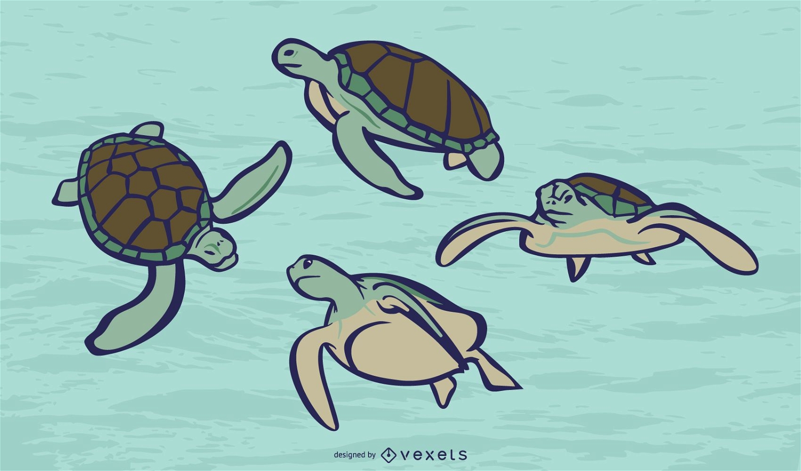 Conjunto de vector de color de tortuga marina