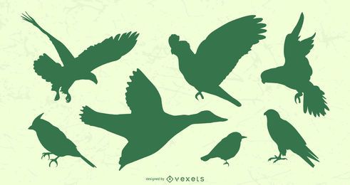 Flying Birds Silhouette Set