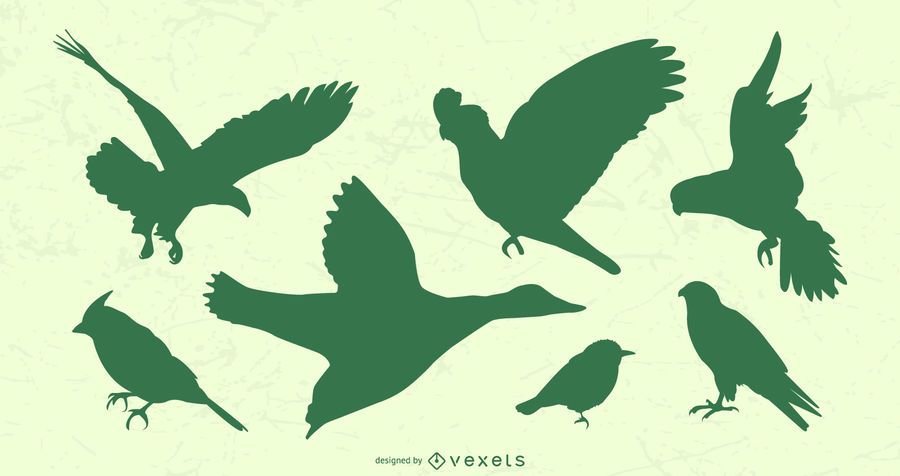 Flying Birds Silhouette Set Flying Birds Silhouette Set