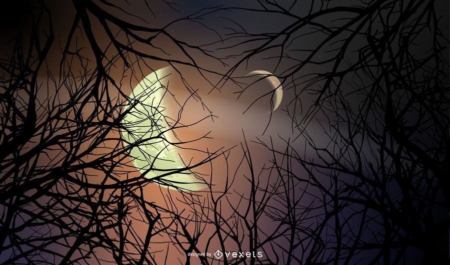 Fondo de bosque de noche de Halloween Fondo de bosque de noche de Halloween