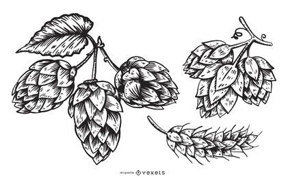 Conjunto de ilustração de elementos de lúpulo de cerveja Conjunto de ilustração de elementos de lúpulo de cerveja