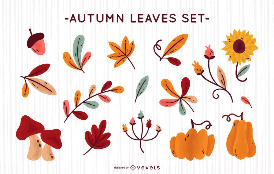 Autumn nature vector collection Autumn nature vector collection